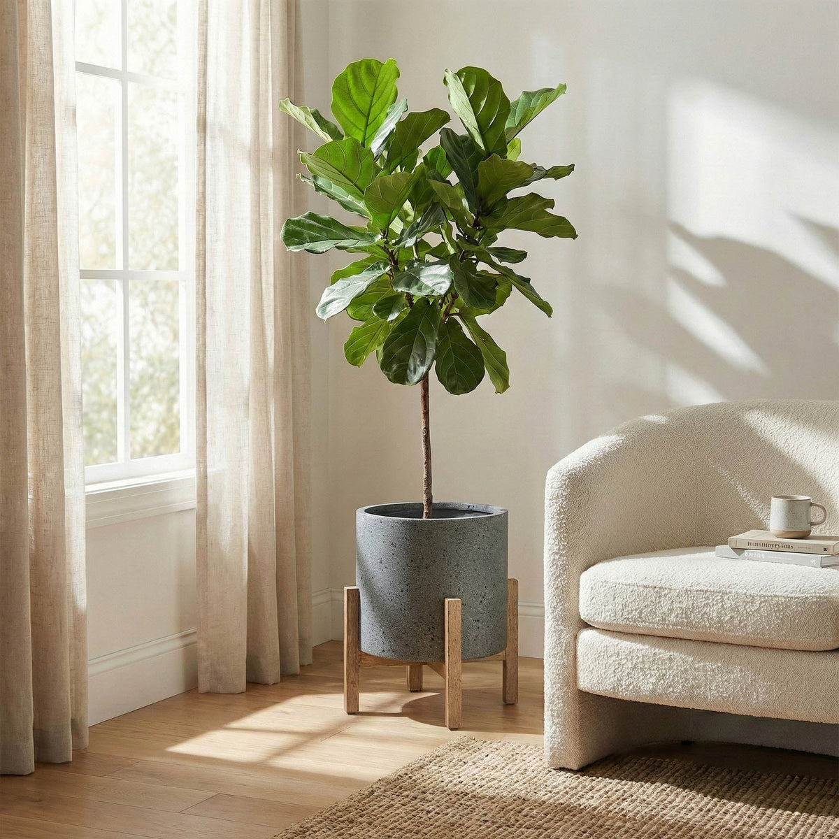 Decor