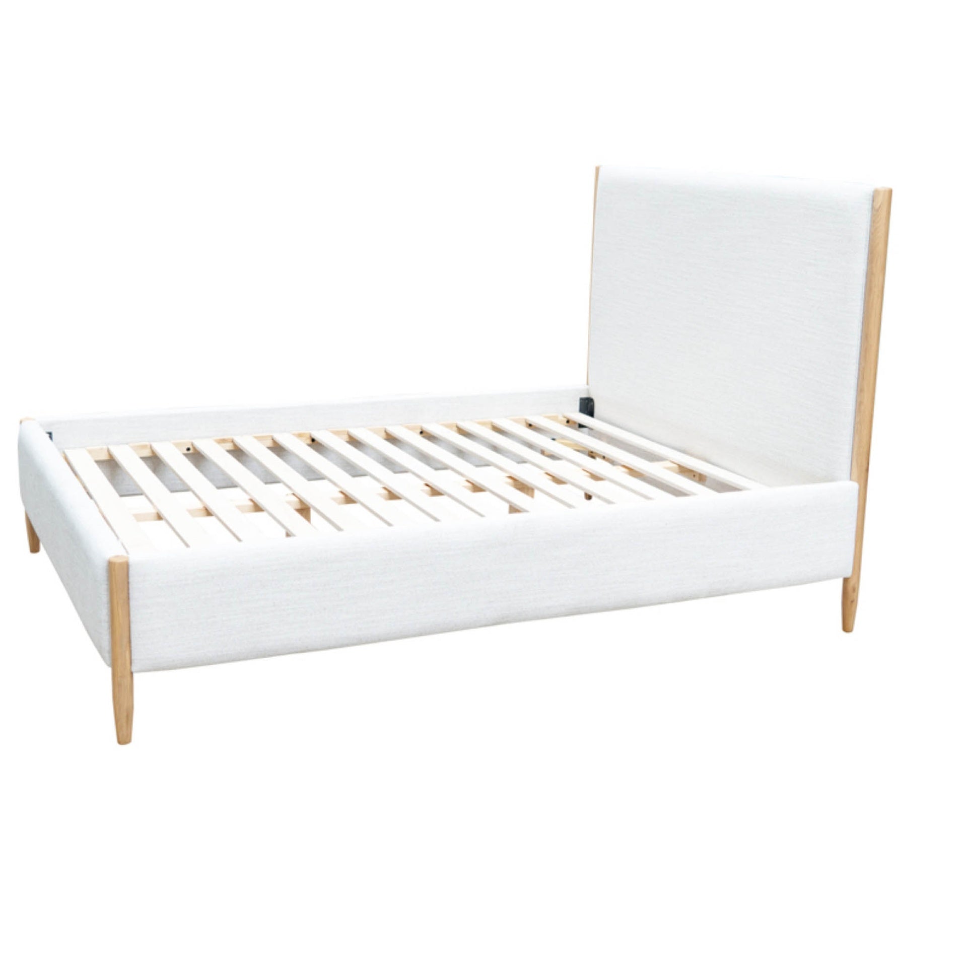 CAMA QUEEN KAMELIA ARENA