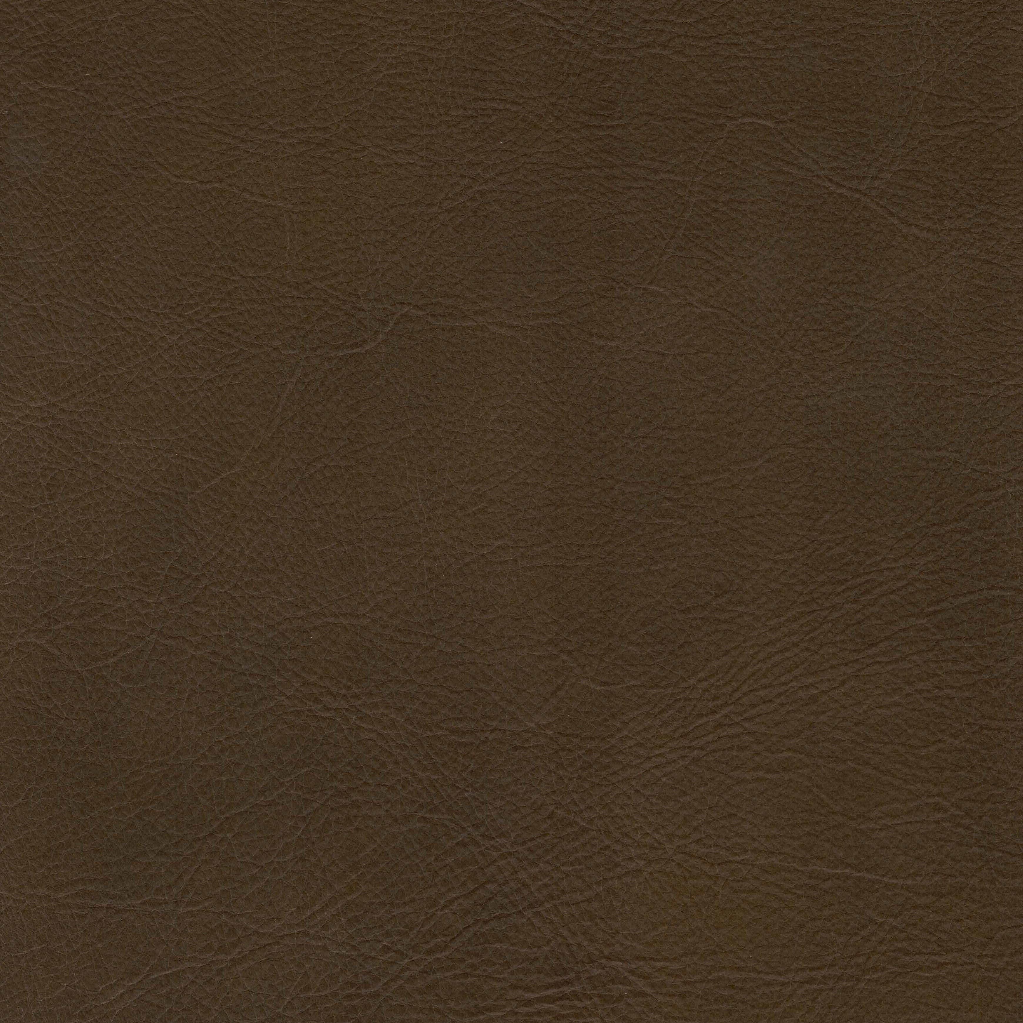 FIR011-ANS 7